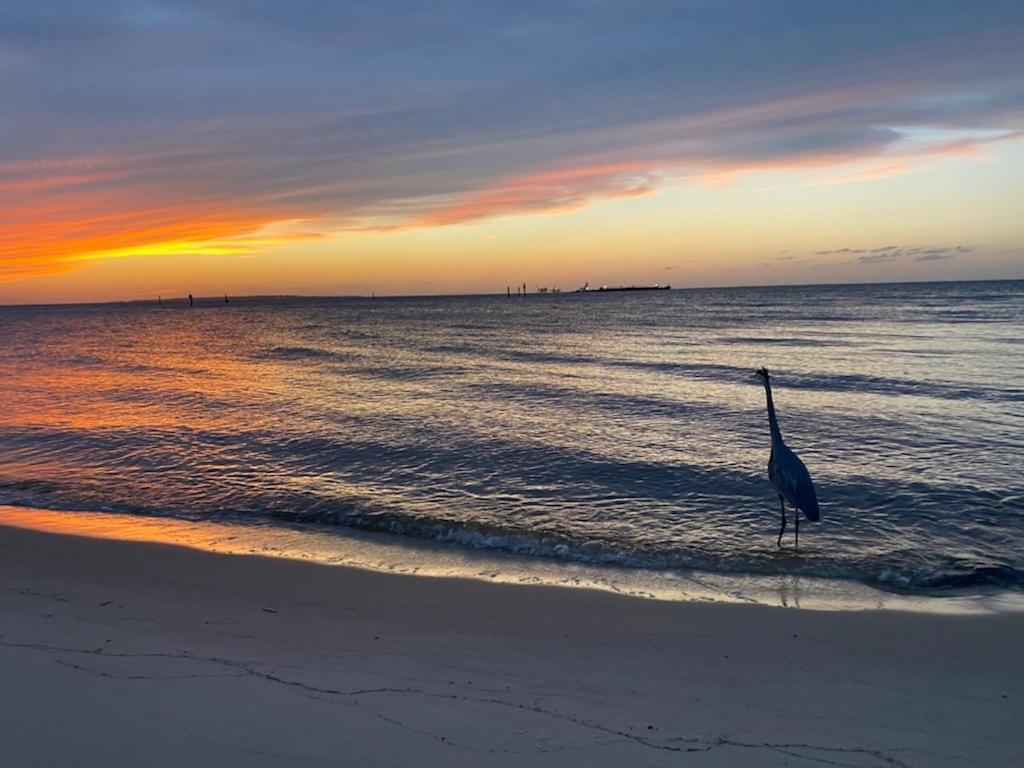 Budget Friendly Condo Perfect For A Romantic Getaway Within Walking Distance To The Beach! Gulf Shores Buitenkant foto