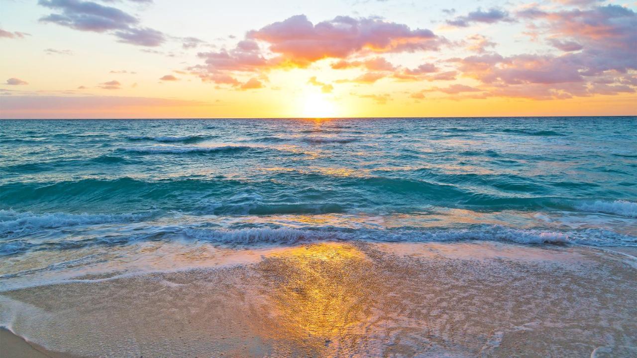 Budget Friendly Condo Perfect For A Romantic Getaway Within Walking Distance To The Beach! Gulf Shores Buitenkant foto